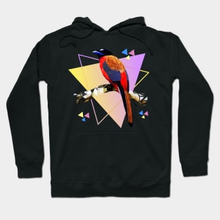 Rainforest Birds Series_07 Hoodie